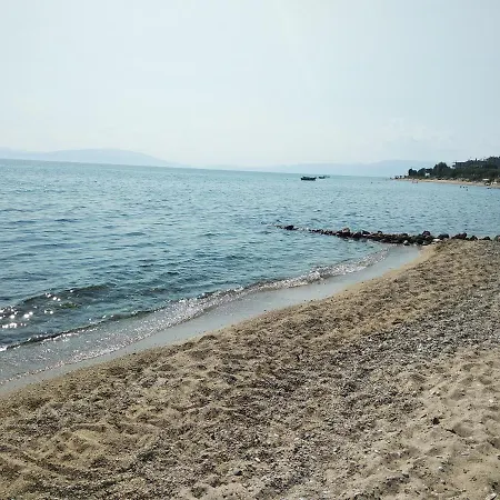 Ananias House فيلة *